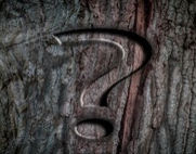 疑云重重，巨人又一起另立门户案的背后