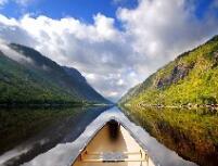 北京巨人又现37位名师组团出走，机构平台化是行业必然趋势吗？