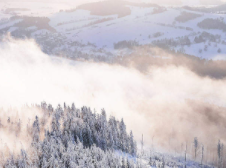 大海1对1联合上海外国语大学成立教育实习基地，探索大学生线上支教新模式