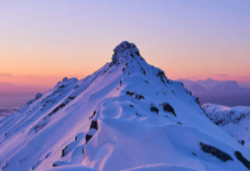 腾讯强势孵化自己的新东方、好未来，企鹅辅导发布在线大语文