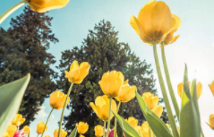 精锐教育创始人张熙：教育行业未来五年发展趋势