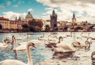 紫光学大：2018年业绩预告