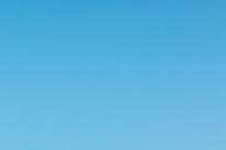 好未来携手北外 推进教育部试点工作