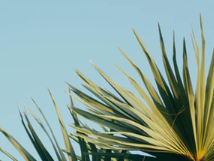 精锐中高考课程体系全面升级，AI科技为个性化学习赋能