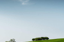 新东方2019年Q3财报：净收入7.97亿美元，营收9578万美元