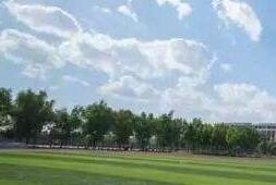 河南省南阳市41家无证校外培训机构被强制摘牌