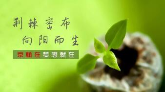 荆棘密布，向阳而生——致全体京翰人的一封信