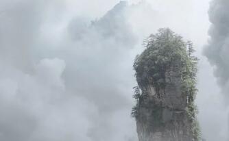 猿辅导22亿美金新一轮融资已交割 成全球教育科技行业估值最高独角兽